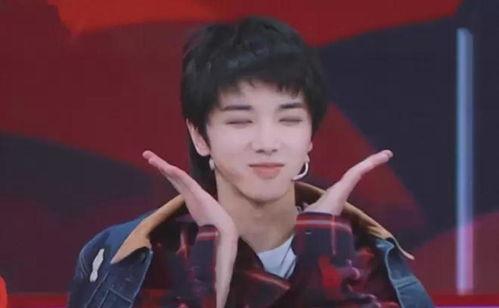 娱乐圈吃瓜华晨宇